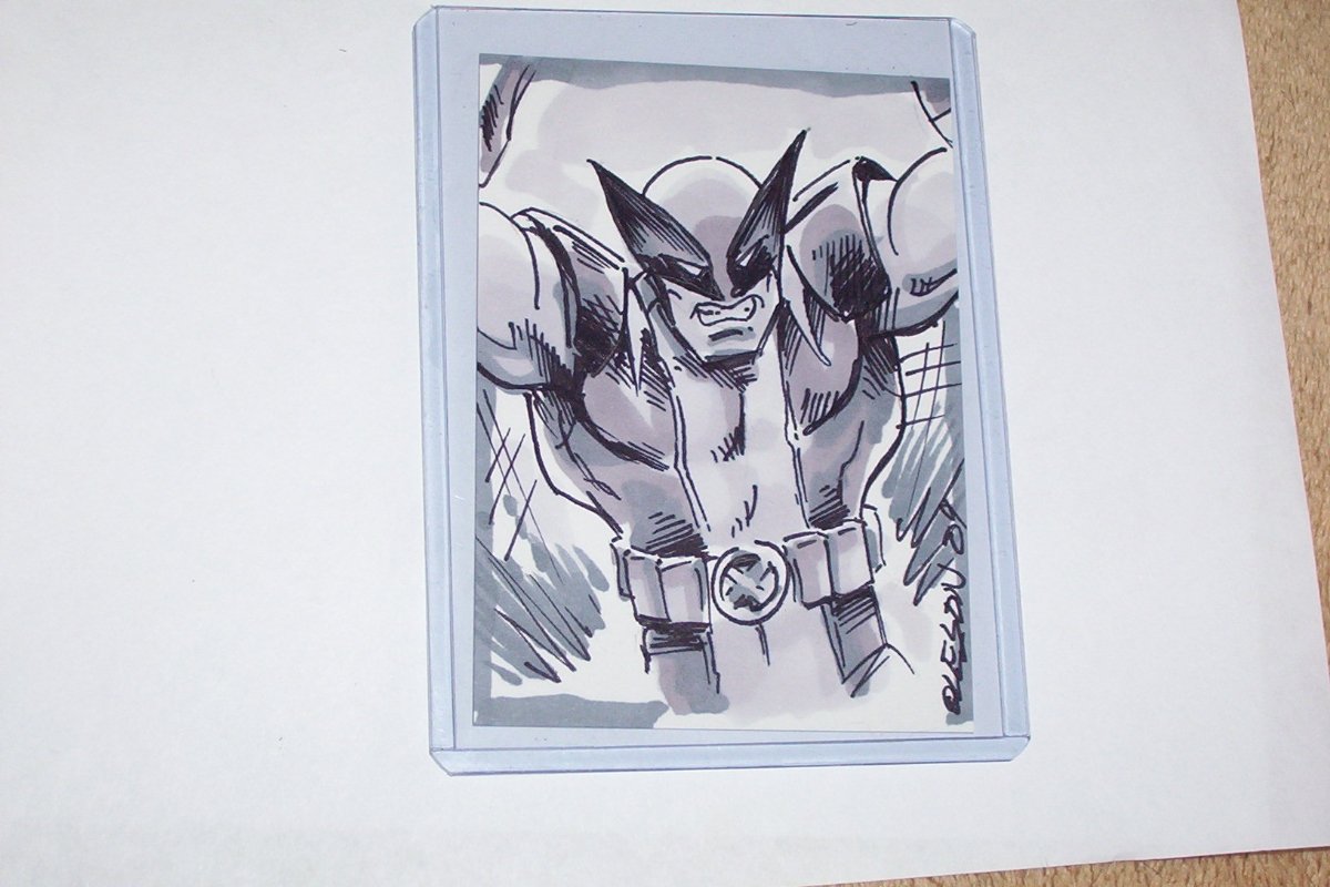 Wolverine Grey Sketch Card In Jeff Olesons Sketch Cardsmisc Comic Art Comic Art Gallery Room